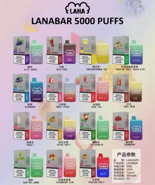 LANA BAR5000口 一次性/拋棄式電子煙  可充電