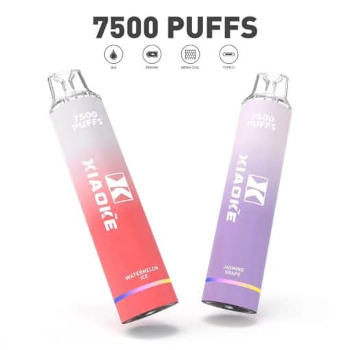 XIAOKE 7500 PUFFS 梟客棄式抛電子烟 一次性霧化桿 炫酷跑馬燈 - 图片 4