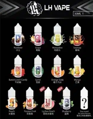 LH VAPE 酷涼鹽煙油 馬來西亞正版進口 30ml