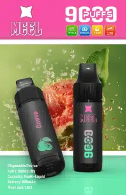 meel9000口抛棄式